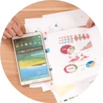 Factsheets & Reports